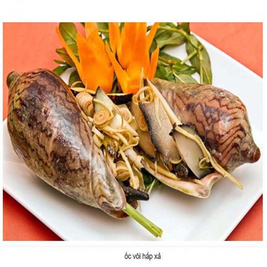 Ốc vôi thiên nhiên sống giá tốt